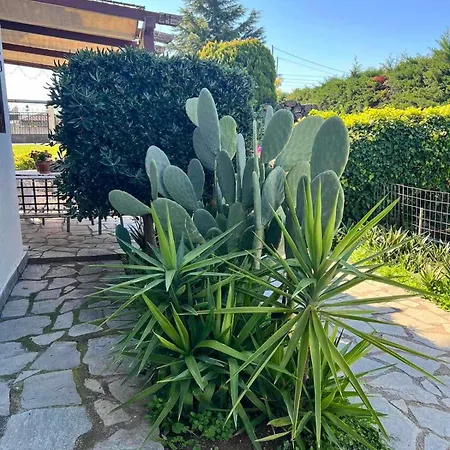 Dimis Garden Néa Mihanióna