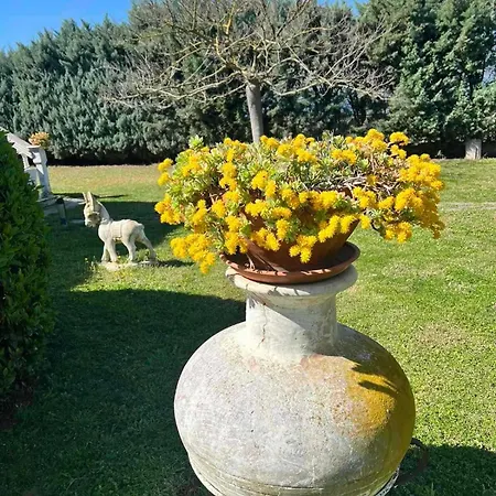 Dimis Garden * Néa Mihanióna