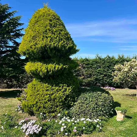 Dimis Garden Néa Mihanióna